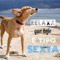 Relaxa, Hoje é Sexta-feira