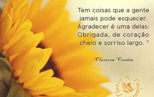 Boa Tarde