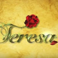 Novela Teresa