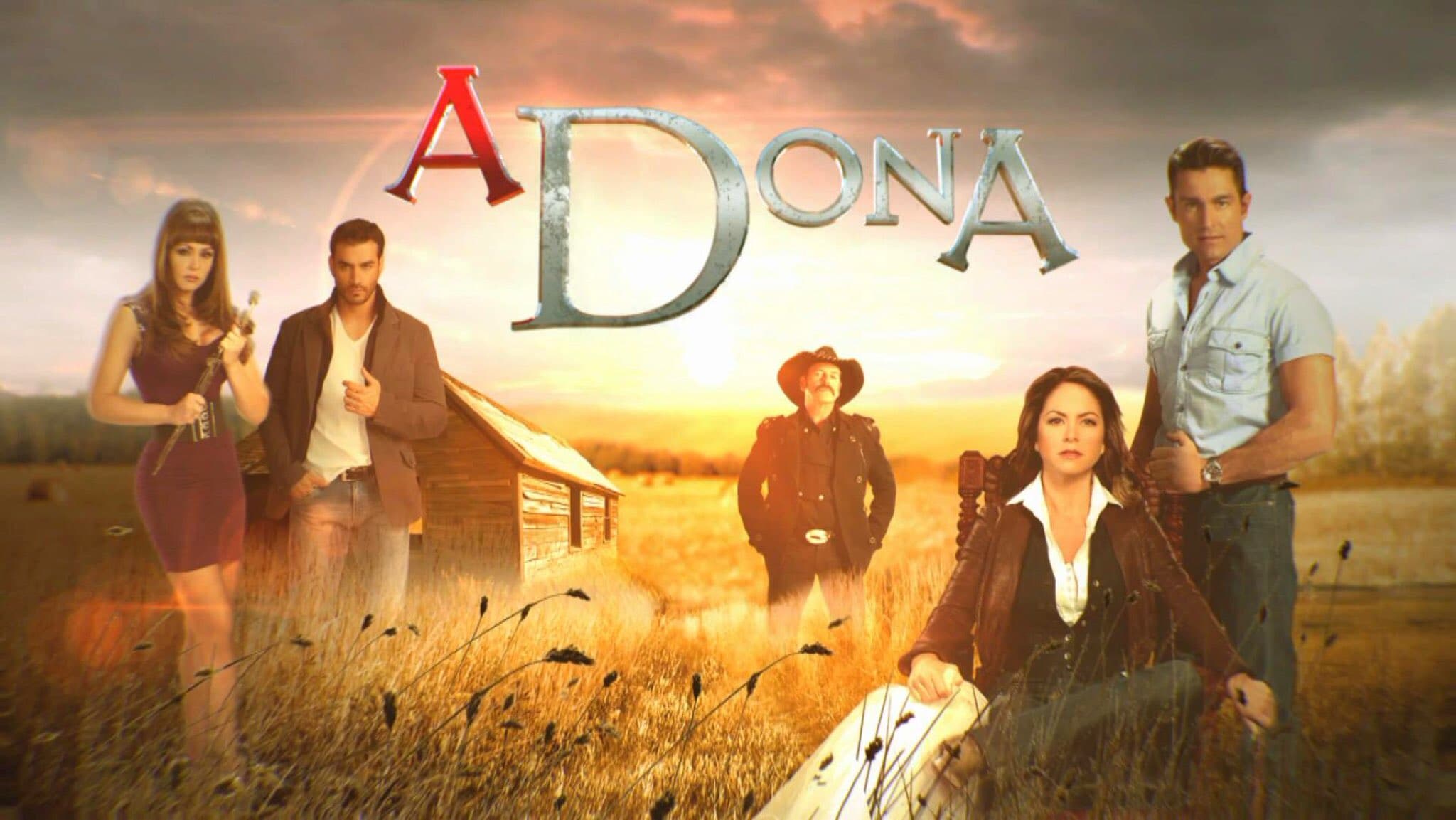 Novela A Dona