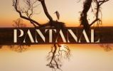 Novela Pantanal