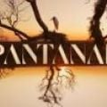 Novela Pantanal