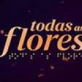 Novela Todas as Flores