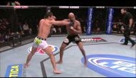 UFC 148: ANDERSON SILVA 