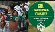 Gol da arquibancada! Palmeiras 1 x 1 Corinthians - Paulistão 2014