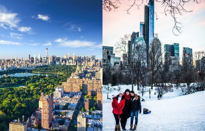 Central park para conhecer em Nova York sem gastar muito