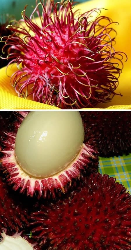 Rambutan frutas exóticas desconhecidas