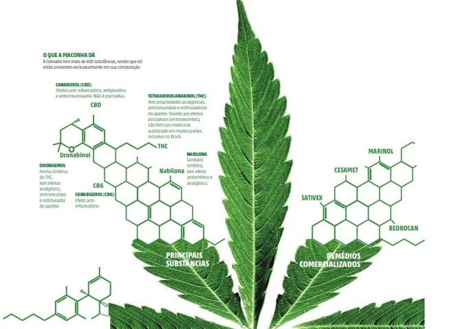 Substâncias da maconha utilizadas na farmacologia