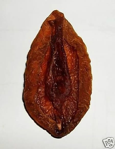 Leilão ebay Uma Vagina de Pêssego Seca