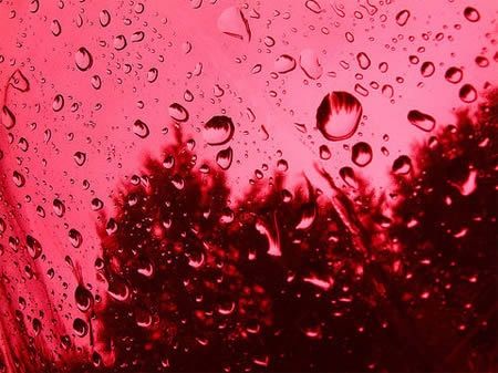 Uma chuva de sangue na Colômbia
