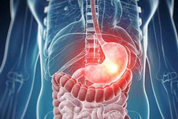Processo digestivo no intestino absorvendo nutrientes