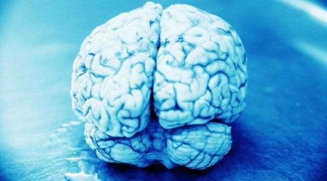 10 fatos curiosos que você provavelmente não sabia sobre o cérebro humano