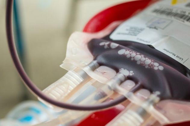 Coisas que você precisa saber sobre doação de sangue nesse 