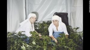 Conheça as freiras que produzem sua própria maconha