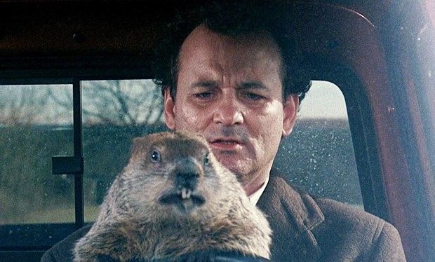 Vinganças de famosos Bill Murray