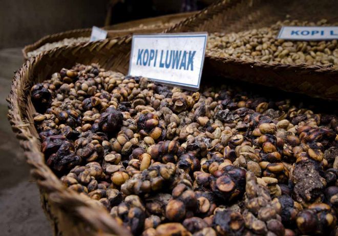 Alimentos e bebidas que podem trazer cocô em sua composição café
