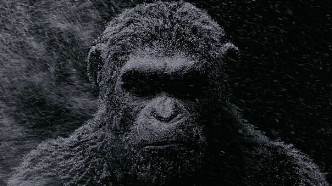 5 filmes imperdíveis desse mês de agosto nos cinemas