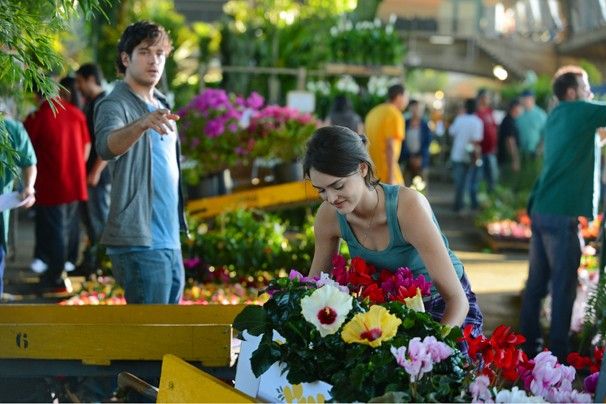 Novelas que poderiam ser boas séries de TV Sangue Bom
