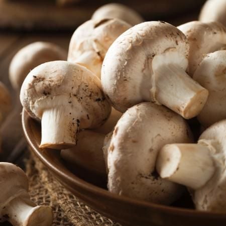 As diferenças e os tipos de preparo dos cogumelos