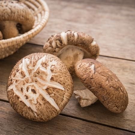 As diferenças e os tipos de preparo dos cogumelos