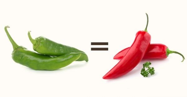 Curiosidades sobre os alimentos pimenta