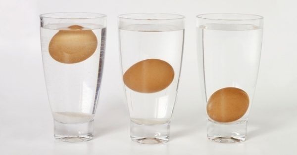 Curiosidades sobre os alimentos ovos
