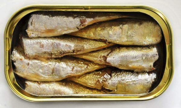 Coisas que podem acabar em breve e você não sabia sardinha