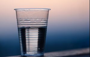 6 riscos que os copos de plástico causam à saúde e você provavelmente não sabia