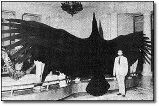 Animais gigantes que já foram extintos