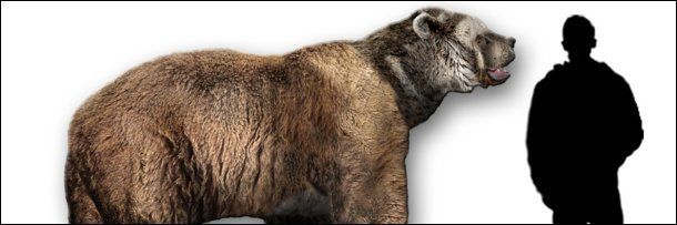 Animais gigantes que já foram extintos