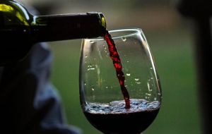 20 curiosidades sobre o vinho