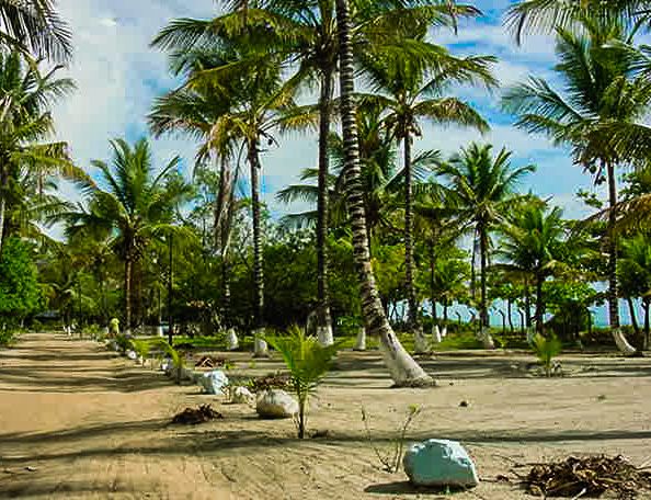 Camping Cumuruxatiba - Bahia