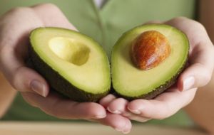 10 benefícios que o abacate pode lhe proporcionar