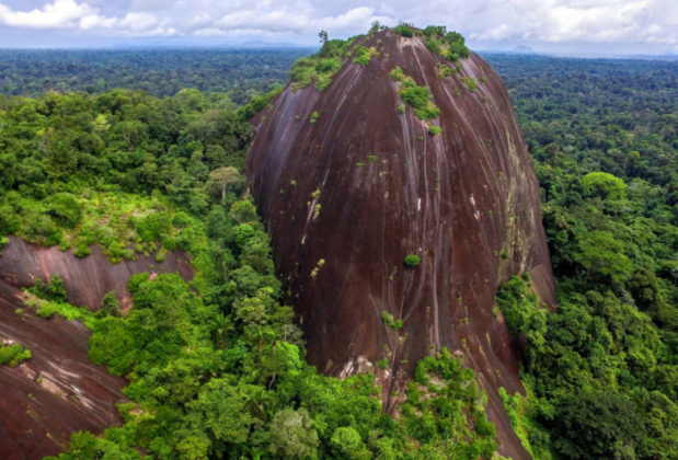 Conheça algumas curiosidades sobre o Suriname