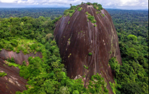 Conheça algumas curiosidades sobre o Suriname