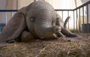 Confira algumas curiosidades sobre o Dumbo