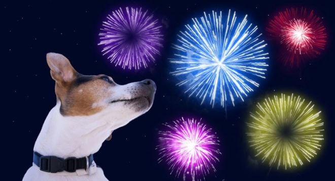 Cidades apostam em viradas de ano com fogos de artifício silenciosos