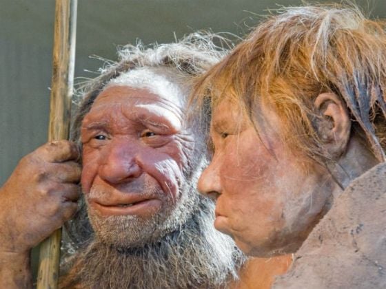 O que aconteceria se os neandertais ainda existissem?