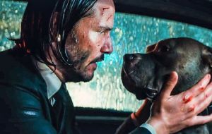 Confira algumas curiosidades sobre os cachorros de John Wick