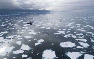 Oceano ártico pode ficar sem gelo até 2050!