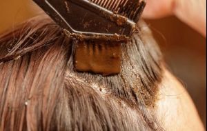 Conheça os benefícios da Henna para os cabelos