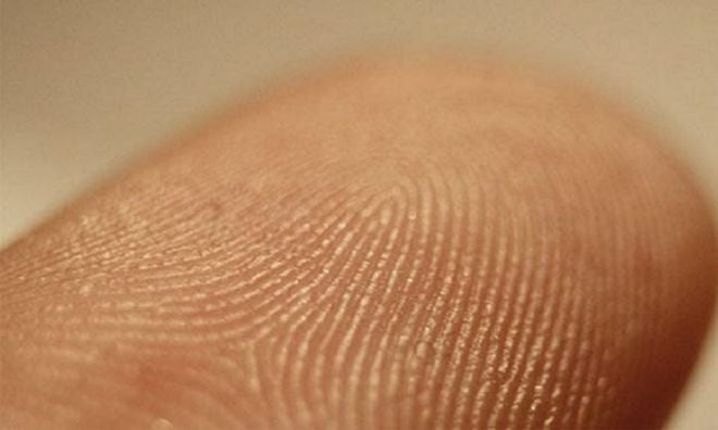 Conheça algumas curiosidades sobre as impressões digitais