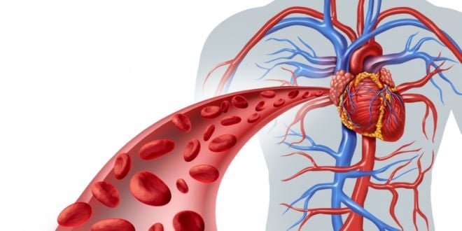 4 dicas para evitar doenças circulatórias comuns no inverno