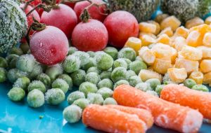 Congelar frutas e verduras: Saiba como fazer da forma mais saudável
