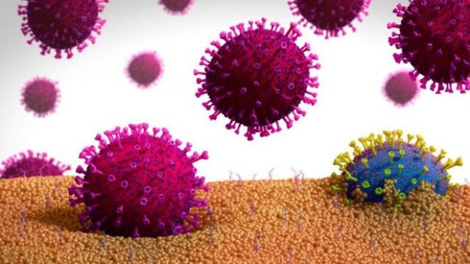 Variantes do coronavírus: Como manter os cuidados no final de ano