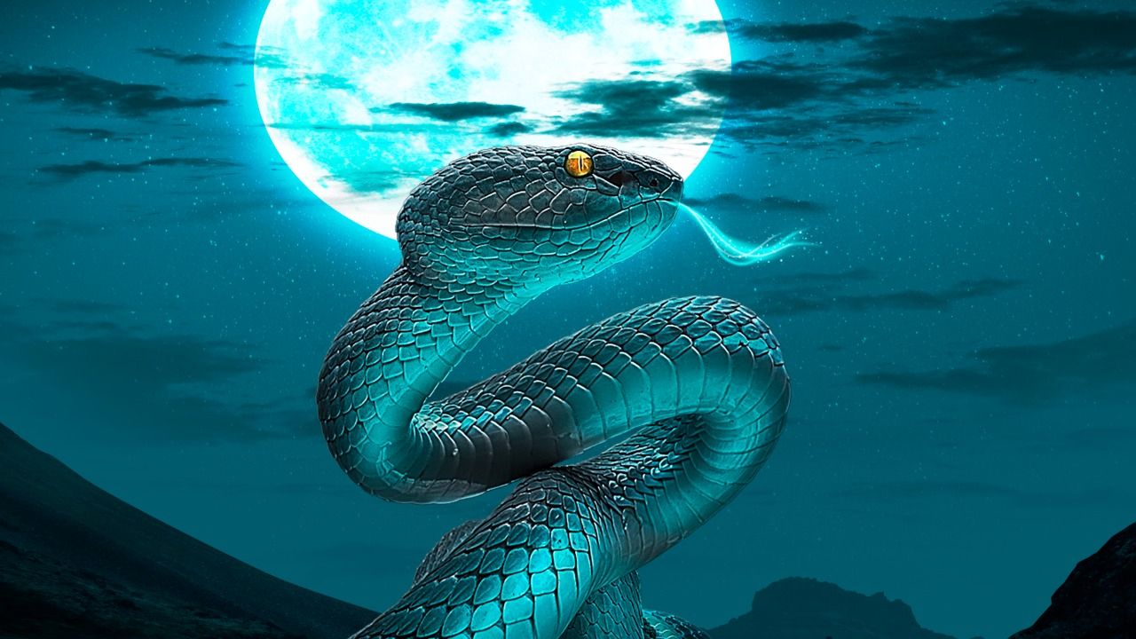 Conheça algumas lendas bizarras da Amazônia que podem virar filmes de terror