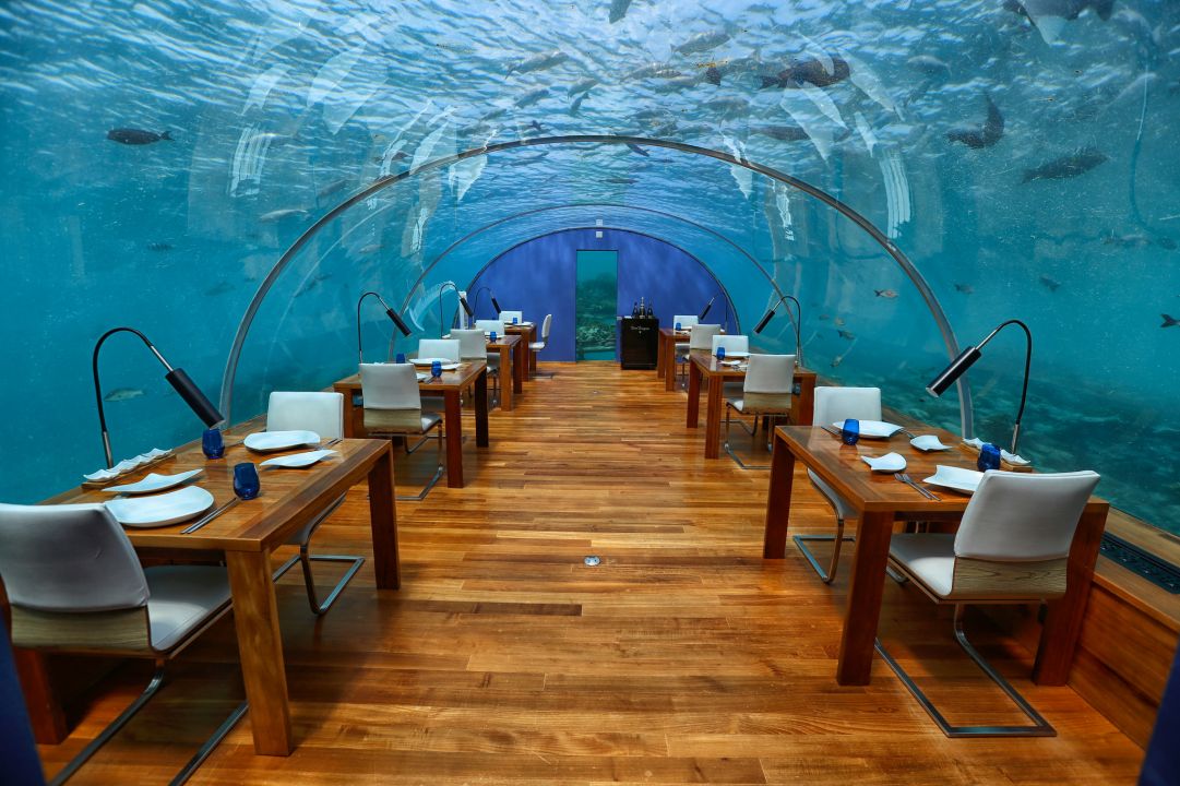 Conheça os restaurantes mais bizarros disponíveis ao redor do planeta