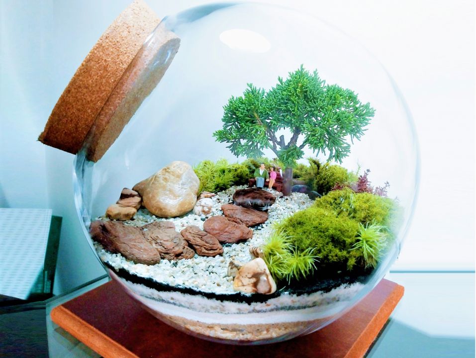 Como fazer um terrário em casa
