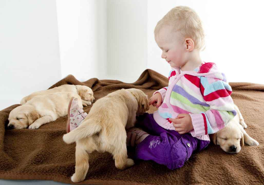 Crianças e cães: Confira dicas para garantir a segurança entre as relações