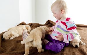 Crianças e cães: Confira dicas para garantir a segurança entre as relações